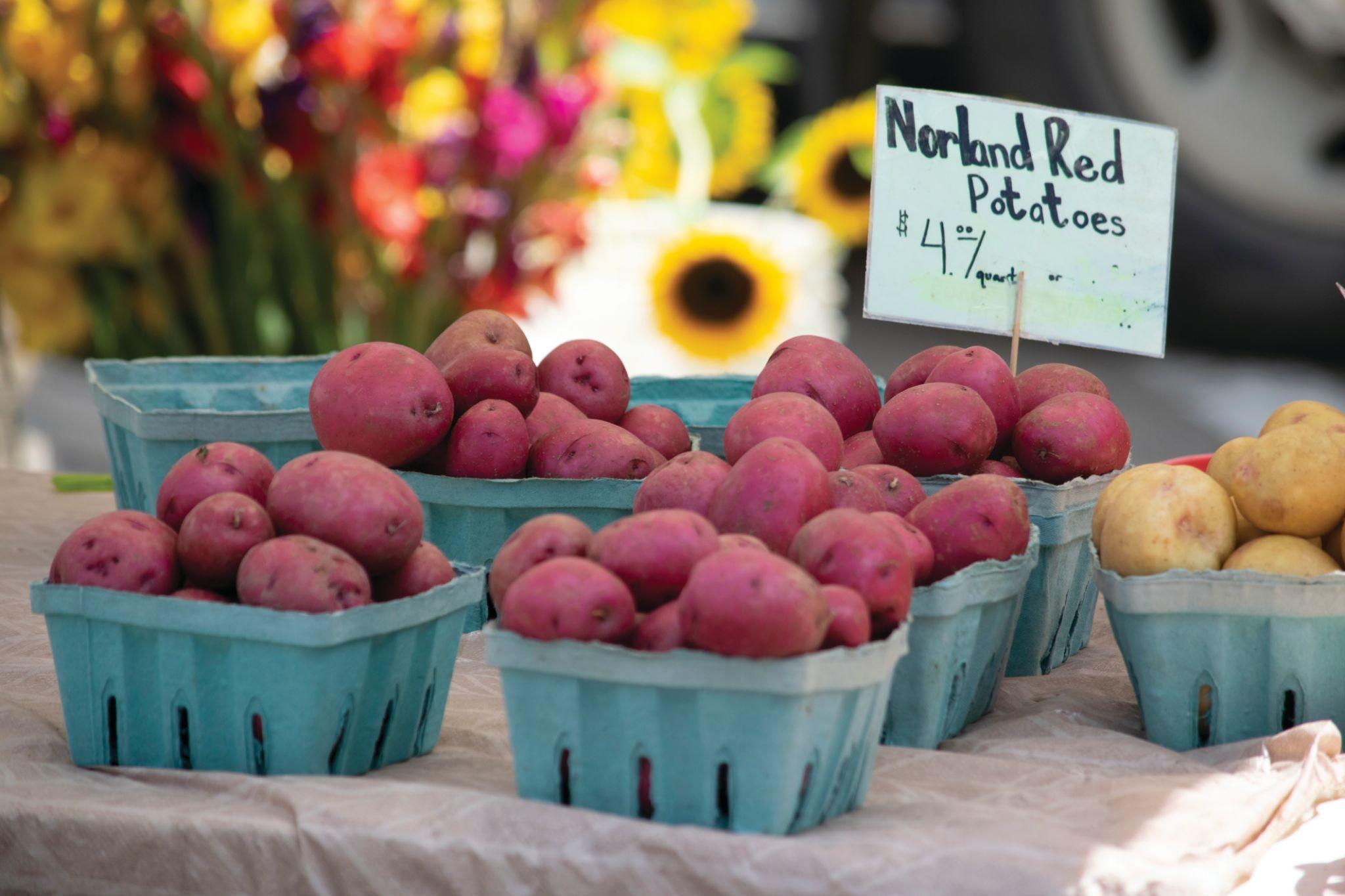 Norwich%20Farmers%20Market