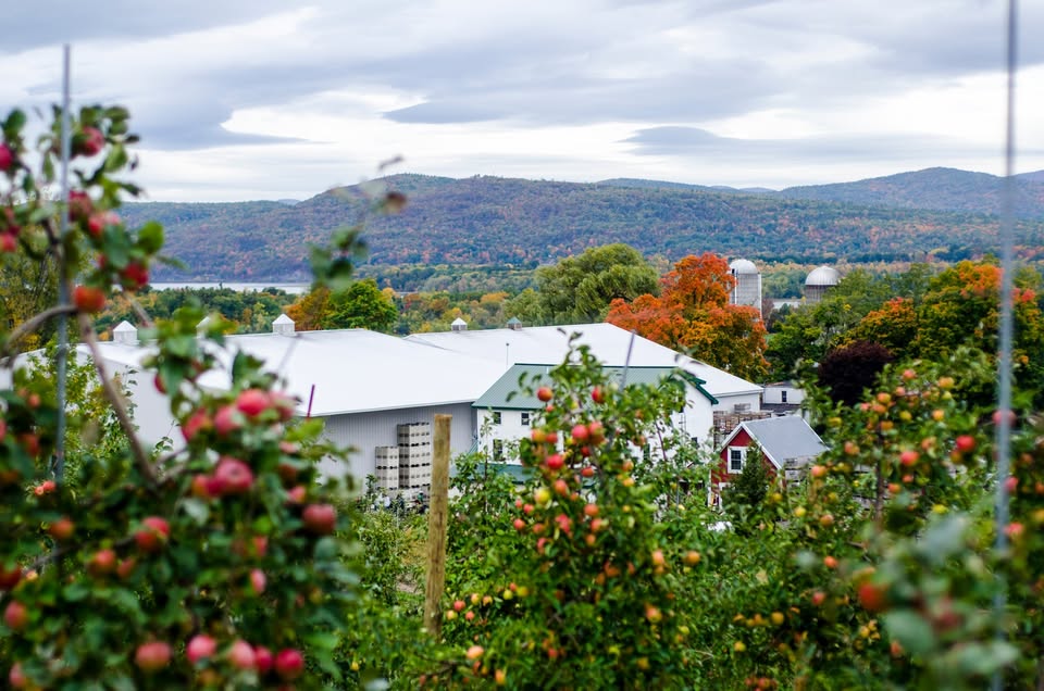 Champlain%20Orchards