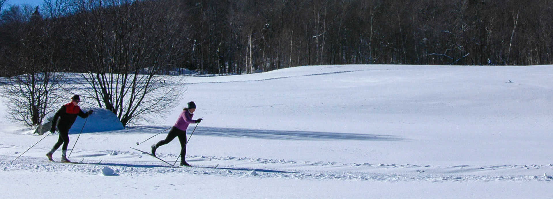 X Country Skiing Header