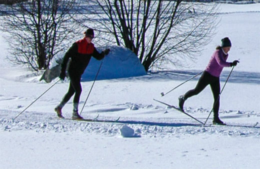 X Country Skiing